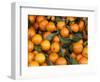 Oranges, Nasch Market, Kettenbrucke, Austria-Marilyn Parver-Framed Photographic Print