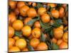 Oranges, Nasch Market, Kettenbrucke, Austria-Marilyn Parver-Mounted Photographic Print