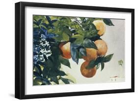 Oranges on a Branch, 1885-Winslow Homer-Framed Giclee Print