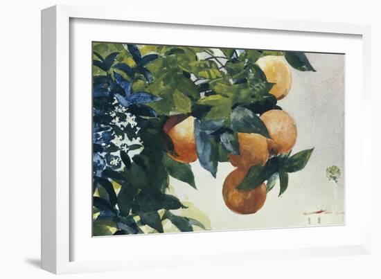 Oranges on a Branch, 1885-Winslow Homer-Framed Giclee Print