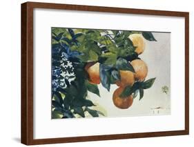 Oranges on a Branch, 1885-Winslow Homer-Framed Giclee Print