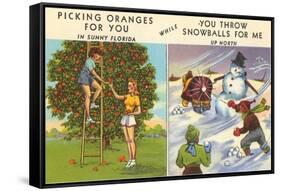 Oranges Versus Snowballs-null-Framed Stretched Canvas