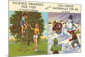 Oranges Versus Snowballs-null-Mounted Premium Giclee Print