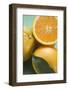 Oranges, Whole and Halved, with Leaf-Foodcollection-Framed Photographic Print