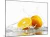 Oranges with Splashing Water-Michael L?ffler-Mounted Photographic Print