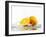 Oranges with Splashing Water-Michael L?ffler-Framed Photographic Print