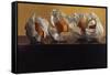 Oranges Wrapped in White Paper-Helen J. Vaughn-Framed Stretched Canvas