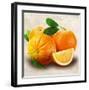 Oranges-Remo Barbieri-Framed Art Print