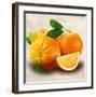 Oranges-Remo Barbieri-Framed Art Print