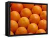 Oranges-null-Framed Stretched Canvas