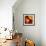 Oranges-null-Framed Art Print displayed on a wall