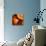 Oranges-null-Stretched Canvas displayed on a wall