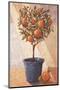 Orangetree-Karsten Kirchner-Mounted Art Print