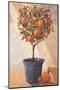 Orangetree-Karsten Kirchner-Mounted Art Print