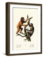 Orangutan, 1824-Karl Joseph Brodtmann-Framed Giclee Print