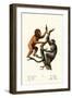 Orangutan, 1824-Karl Joseph Brodtmann-Framed Giclee Print