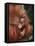 Orangutan and Baby-null-Framed Stretched Canvas