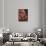 Orangutan and Baby-null-Framed Stretched Canvas displayed on a wall