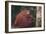 Orangutan and Baby-DLILLC-Framed Photographic Print