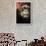 Orangutan and Baby-Lantern Press-Framed Art Print displayed on a wall