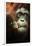 Orangutan and Baby-Lantern Press-Framed Art Print