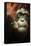 Orangutan and Baby-Lantern Press-Framed Stretched Canvas