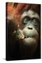 Orangutan and Baby-Lantern Press-Stretched Canvas