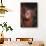 Orangutan Baby-DLILLC-Framed Stretched Canvas displayed on a wall