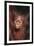 Orangutan Baby-DLILLC-Framed Photographic Print