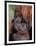 Orangutan, Borneo-Stuart Westmorland-Framed Photographic Print