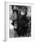 Orangutan Clinging to Tree-null-Framed Photographic Print