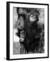 Orangutan Clinging to Tree-null-Framed Photographic Print