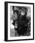 Orangutan Clinging to Tree-null-Framed Photographic Print