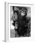 Orangutan Clinging to Tree-null-Framed Photographic Print