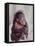 Orangutan Felix and Gigi, St. Louis Zoo-Nina Leen-Framed Stretched Canvas