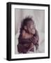 Orangutan Felix and Gigi, St. Louis Zoo-Nina Leen-Framed Photographic Print