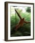 Orangutan in Rainforest, Borneo, Indonesia-Gavriel Jecan-Framed Photographic Print