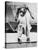 Orangutan Listens to Headphones-null-Stretched Canvas