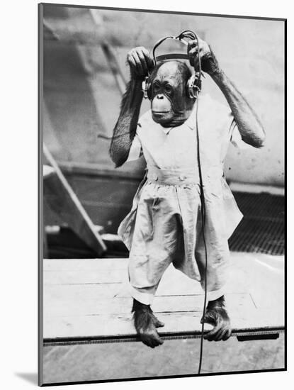 Orangutan Listens to Headphones-null-Mounted Photographic Print