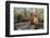 Orangutan Rehabilitation Feeding Station-DLILLC-Framed Photographic Print