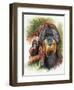 Orangutan Soul-Barbara Keith-Framed Giclee Print