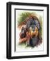 Orangutan Soul-Barbara Keith-Framed Giclee Print