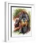 Orangutan Soul-Barbara Keith-Framed Giclee Print