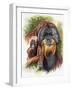 Orangutan Soul-Barbara Keith-Framed Giclee Print