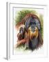 Orangutan Soul-Barbara Keith-Framed Giclee Print