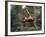 Orangutan Swinging from a Vine in the Jungles of North Borneo-Co Rentmeester-Framed Photographic Print