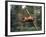 Orangutan Swinging from a Vine in the Jungles of North Borneo-Co Rentmeester-Framed Photographic Print