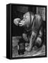 Orangutan Takes His Daily Medicine-null-Framed Stretched Canvas