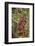 Orangutan with Her Baby-DLILLC-Framed Photographic Print