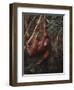 Orangutan-DLILLC-Framed Premium Photographic Print